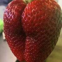 outfit without a bra video.html - 1 HD Video | Premium Gallery 2024