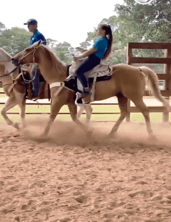 Sexy Country Girls In Action