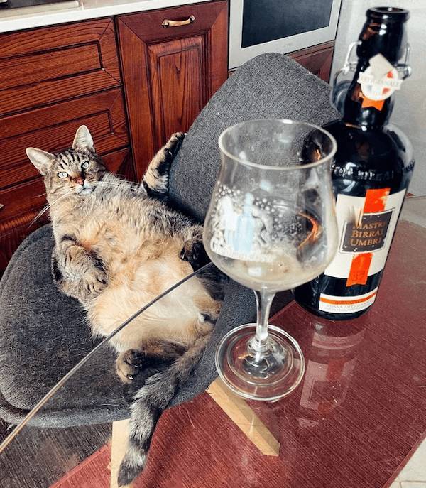 Drinking Never Ends...