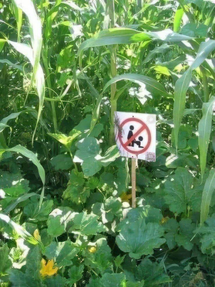 dirty mind come here 37 pics 17.html - 37 HD Photos | Premium Gallery 2023