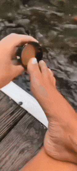 dirty minds only 31 gifs 5.html - 1 HD GIF | Premium Gallery 2023