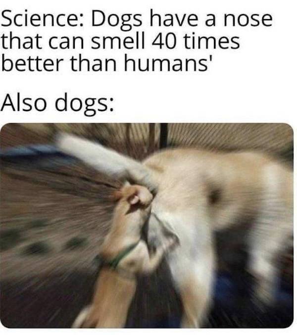 dirty minds only 50 pics 1.html - 50 HD Photos | Premium Gallery 2023