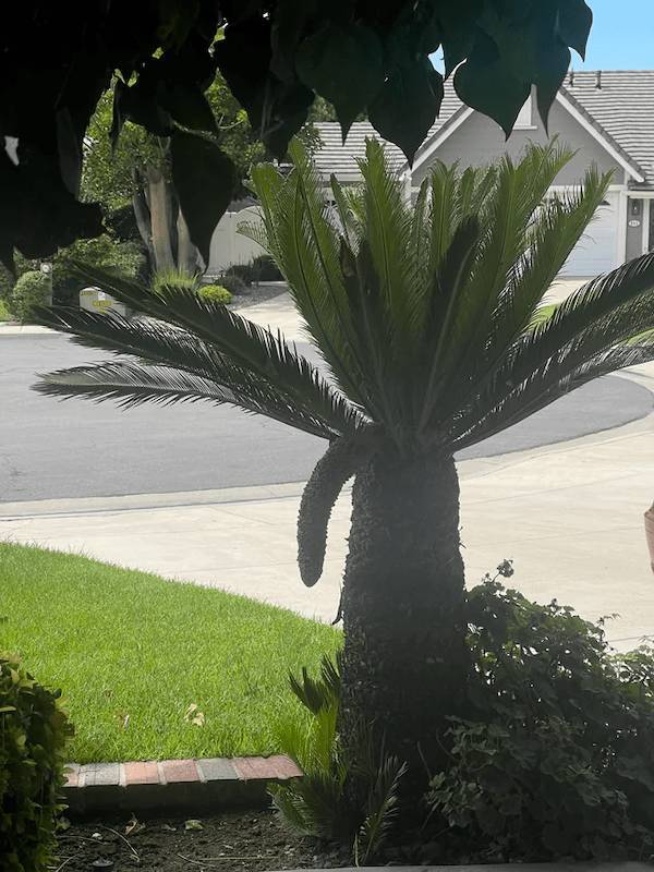 Ooh, That’s Dirty!