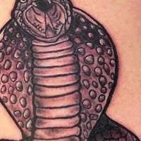 participants of miss grand international 2023 video.html - 1 HD Video | Premium Gallery 2024