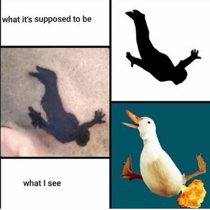 unconventional ink tattoos that defy convention 47 pics 2.html - 47 HD Photos | Premium Gallery 2023