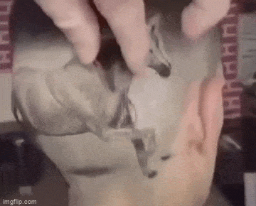 Outlandish Hair Adventures: Crazy Haircuts On Display