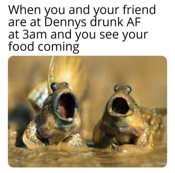 drinking never ends 53 pics 18.html - 53 HD Photos | Premium Gallery 2023