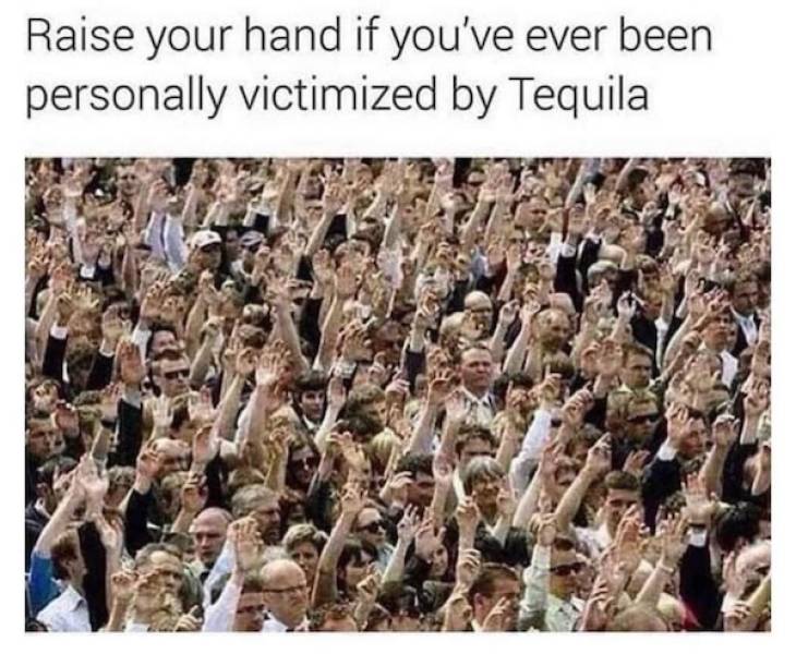 drinking never ends 53 pics 18.html - 53 HD Photos | Premium Gallery 2023