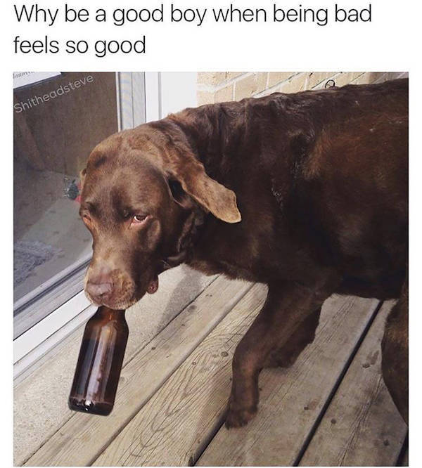 Drinking Never Ends...