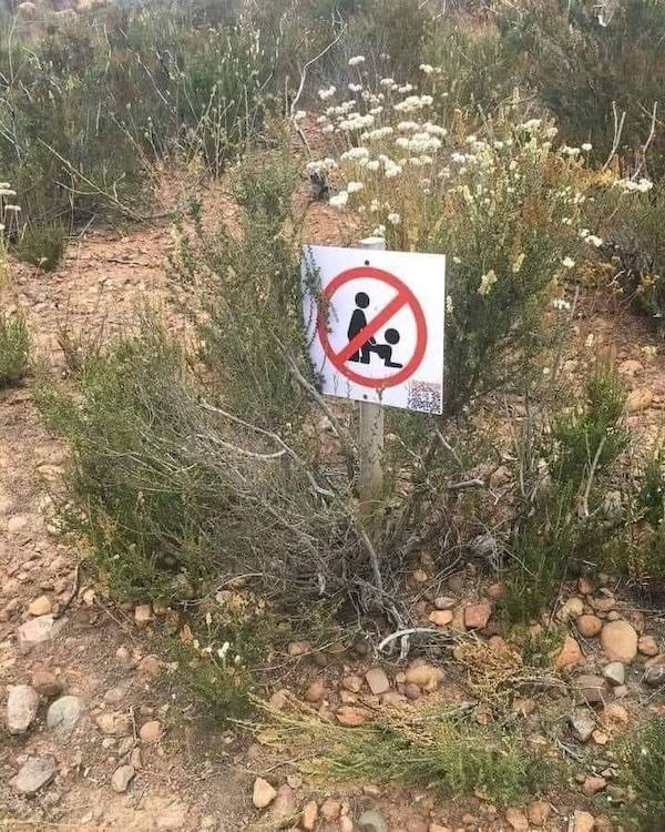 Dirty Mind, Come Here!