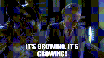 Surprising Penis Facts You Never Knew