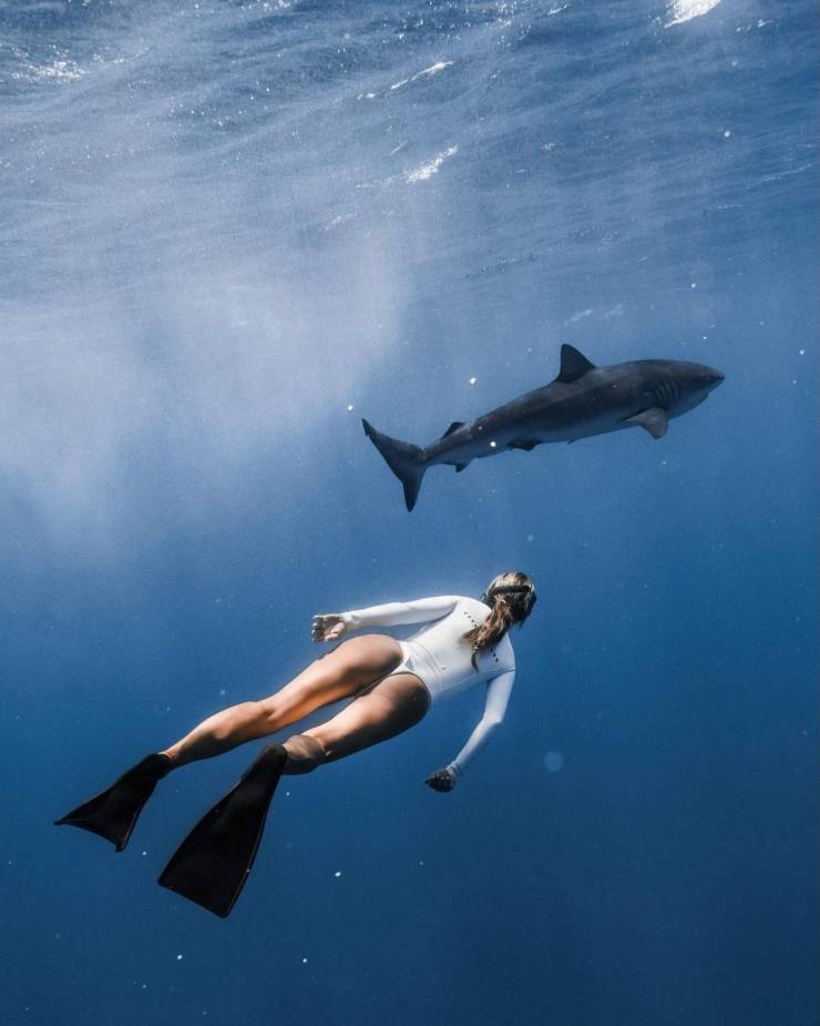 grownup corner 50 pics 5.html - 50 HD Photos | Premium Gallery 2023