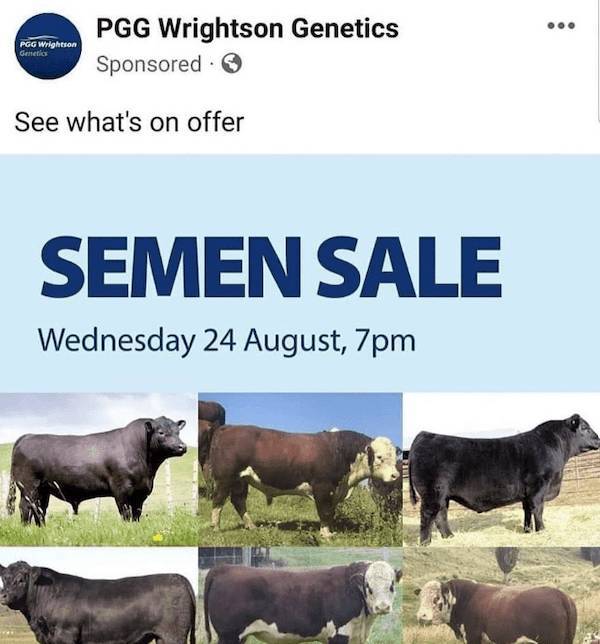 dirty mind come here 65 pics 12.html - 65 HD Photos | Premium Gallery 2023