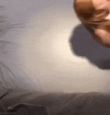 hot girls are here for you 30 gifs 6.html - 1 HD GIF | Premium Gallery 2023