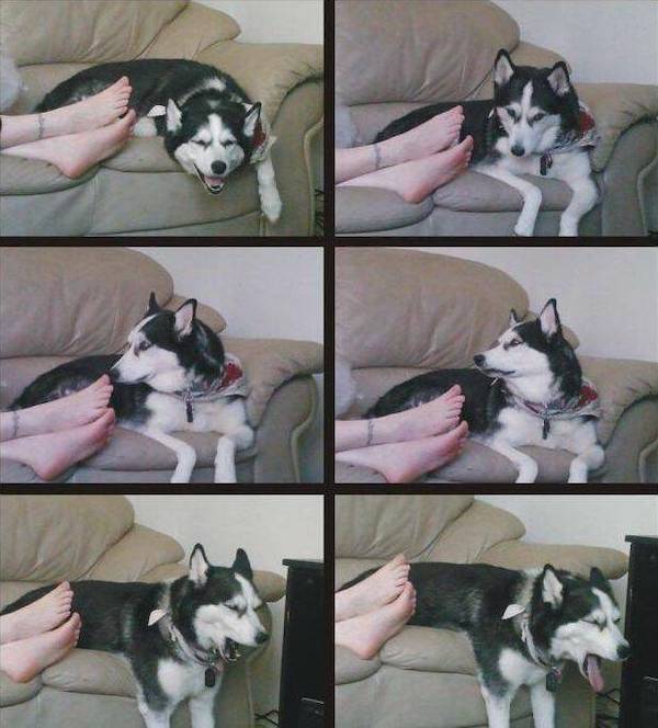 dirty minds only 50 pics 14.html - 50 HD Photos | Premium Gallery 2023