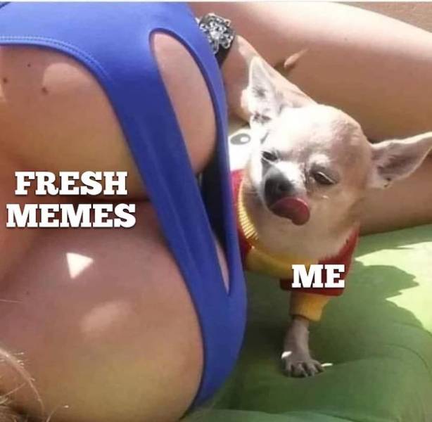 dirty minds only 54 pics 3.html - 54 HD Photos | Premium Gallery 2023