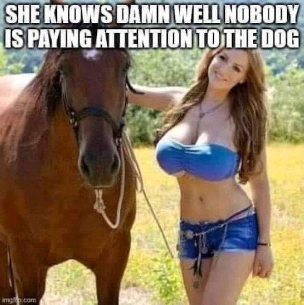 dirty minds only 54 pics 3.html - 54 HD Photos | Premium Gallery 2023