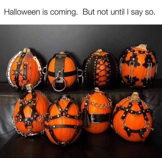 dirty minds only 65 pics 3 gifs 30.html - 65 HD GIF | Premium Gallery 2023