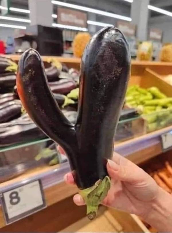 dirty minds only 65 pics 3 gifs 30.html - 65 HD GIF | Premium Gallery 2023