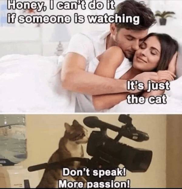 nsfw memes to add some spice to your life 30 pics 8.html - 30 HD Photos | Premium Gallery 2023