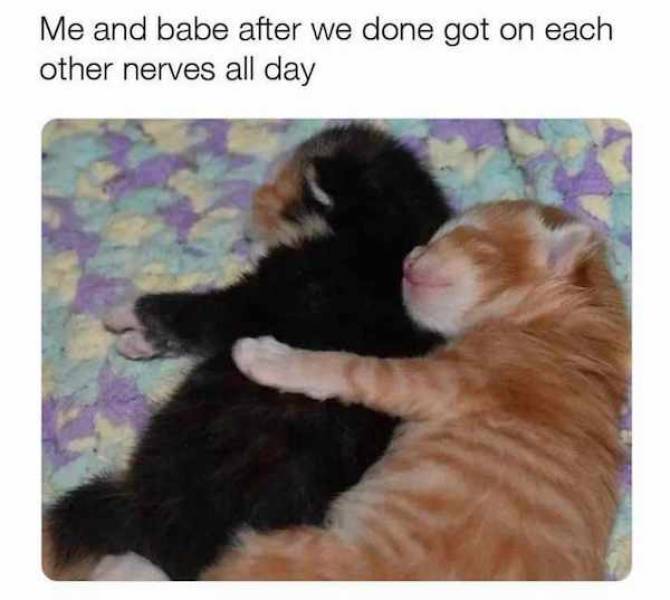 dirty flirtatious to share with your better half 33 pics 9.html - 33 HD Photos | Premium Gallery 2023