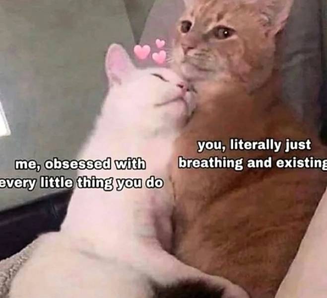 dirty flirtatious to share with your better half 33 pics 9.html - 33 HD Photos | Premium Gallery 2023