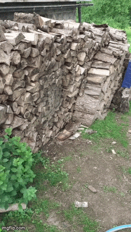 drinking never ends 29 pics 2 gifs 2.html - 29 HD GIF | Premium Gallery 2023