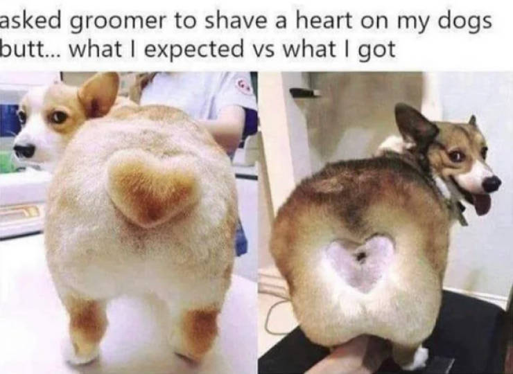 hold on a second 46 pics 5.html - 46 HD Photos | Premium Gallery 2023