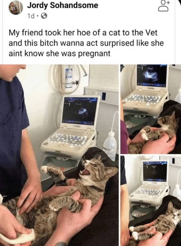 dirty mind come here 33 pics 2 gifs 6.html - 33 HD GIF | Premium Gallery 2023