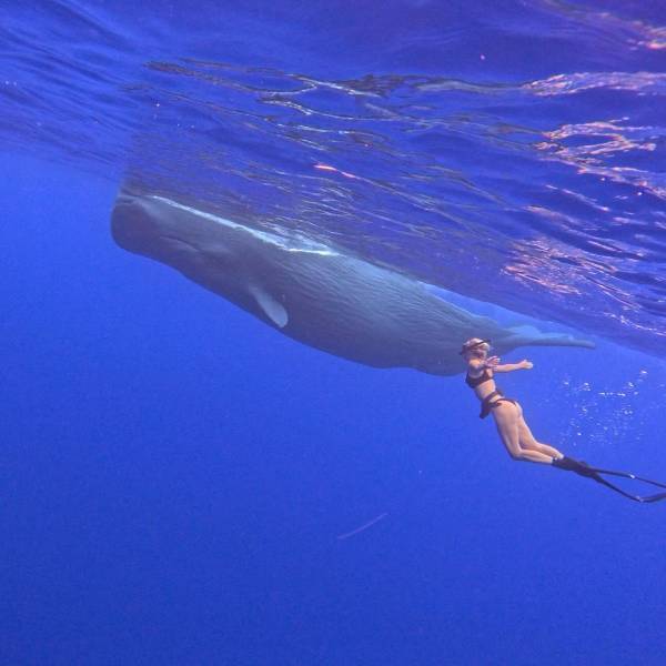 grownup corner 43 pics 2.html - 43 HD Photos | Premium Gallery 2023