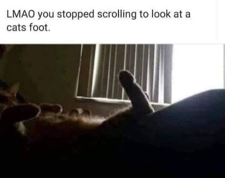 dirty mind come here 37 pics 5.html - 37 HD Photos | Premium Gallery 2023