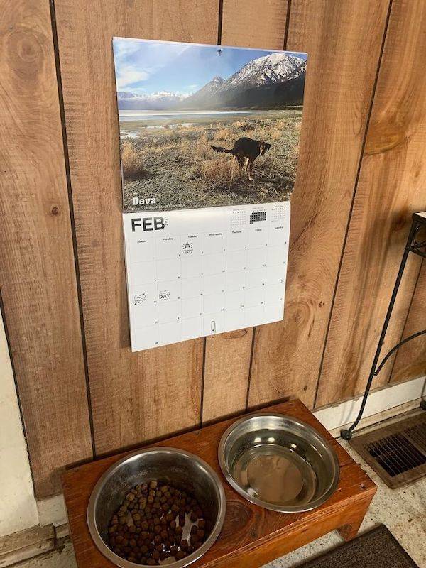 dirty mind come here 37 pics 5.html - 37 HD Photos | Premium Gallery 2023