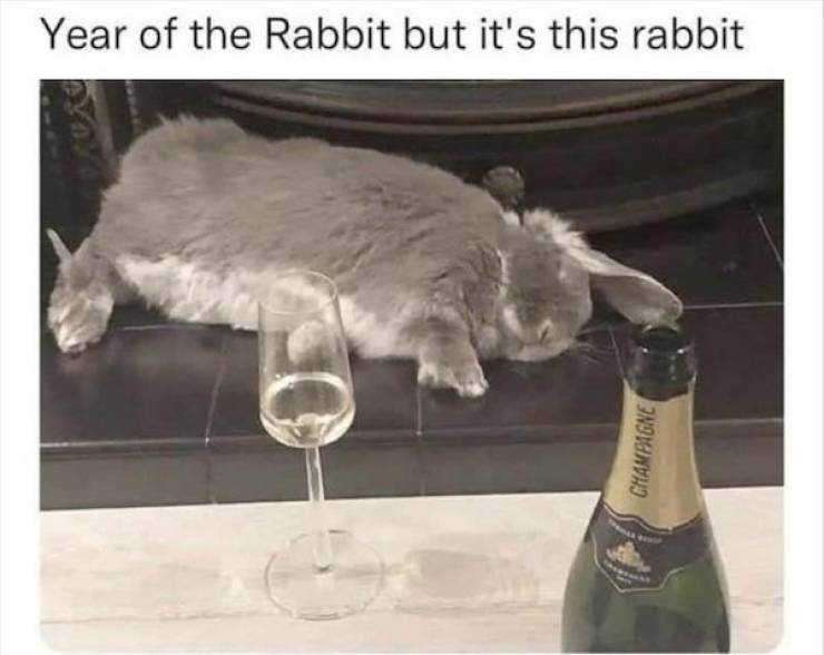 drinking never ends 41 pics 4 gifs 21.html - 41 HD GIF | Premium Gallery 2023