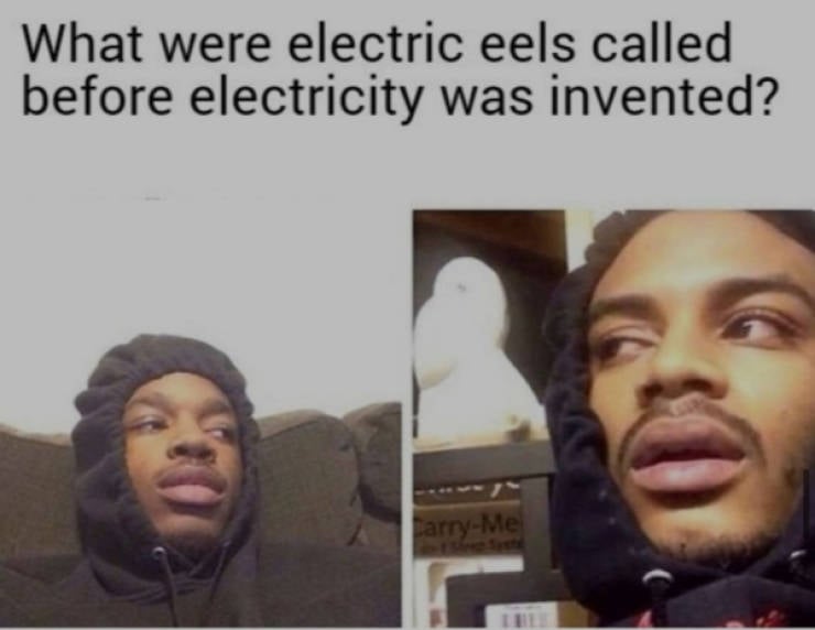 Hold On A Damn Minute!