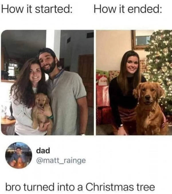 Hold On A Damn Minute!