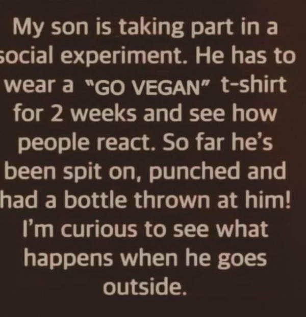 Hold On A Damn Minute!