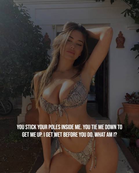 Riddles That Sparkle With Provocative Wit