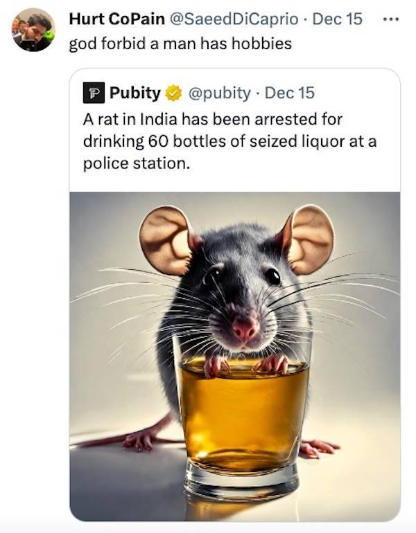 drinking never ends 40 pics 4 gifs 34.html - 40 HD GIF | Premium Gallery 2024