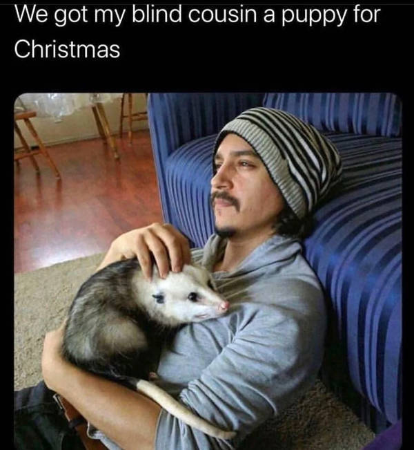 Hold On A Damn Minute!