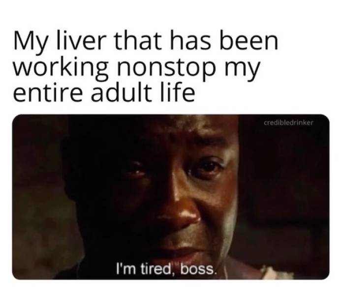 morning after mayhem hilarious hangover memes 33 pics 9.html - 33 HD Photos | Premium Gallery 2024