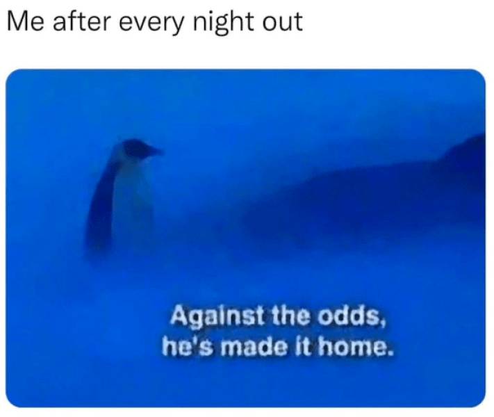 morning after mayhem hilarious hangover memes 33 pics 9.html - 33 HD Photos | Premium Gallery 2024