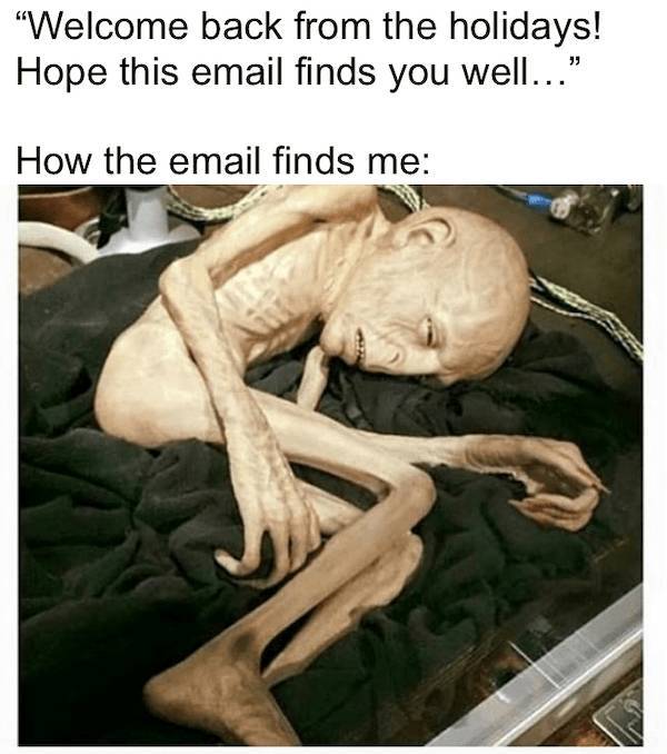 Morning After Mayhem: Hilarious Hangover Memes