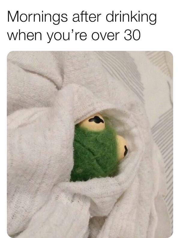 Morning After Mayhem: Hilarious Hangover Memes