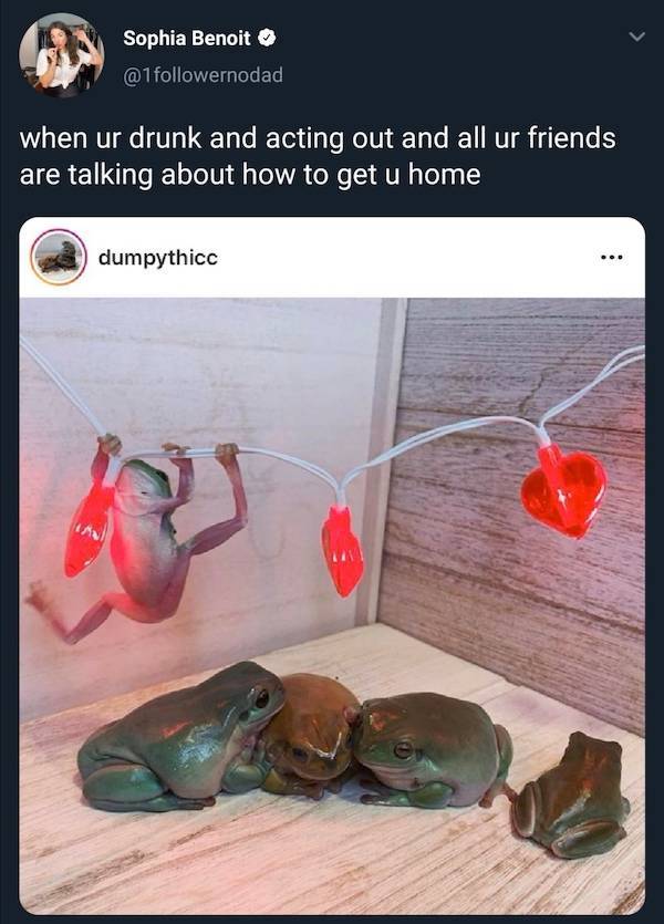 Morning After Mayhem: Hilarious Hangover Memes