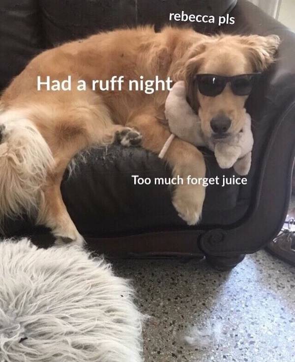 morning after mayhem hilarious hangover memes 33 pics 9.html - 33 HD Photos | Premium Gallery 2024