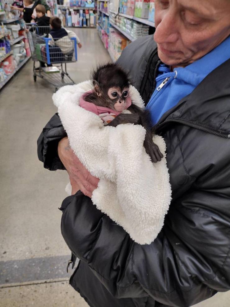 “Walmart” Customers Are Wild…