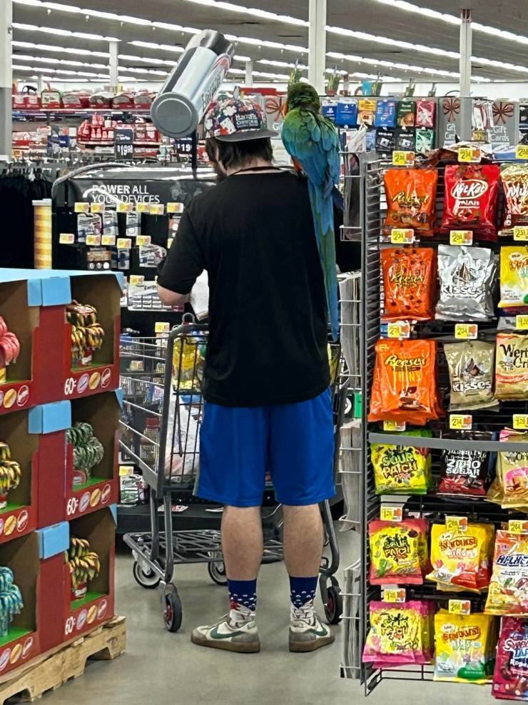 “Walmart” Customers Are Wild…