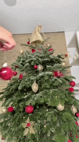 hot girls are here for you 42 gifs 7.html - 1 HD GIF | Premium Gallery 2024