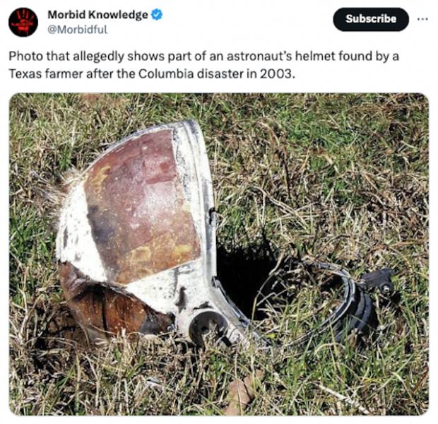 Unsettling Realities: Facts That Leave A Lasting Impression