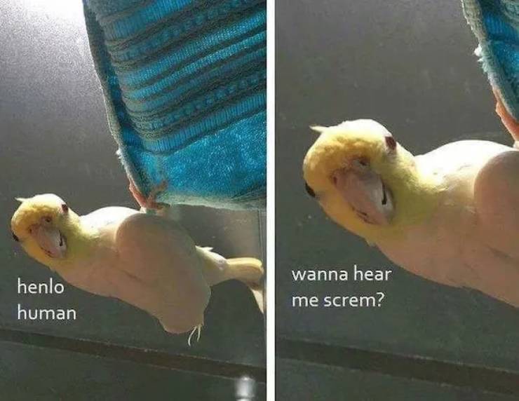 Risque Realities: Unveiling The Strangest NSFW Facts